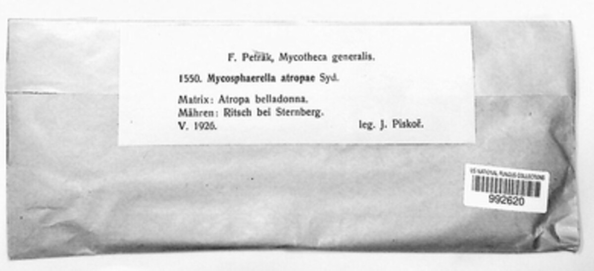 Mycosphaerella atropae image